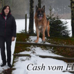 Bilder Hundesport Treuen