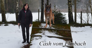 Bilder Hundesport Treuen